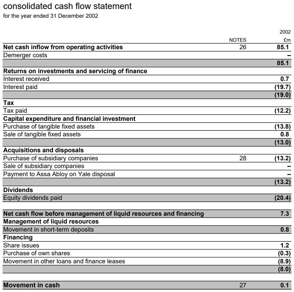 Consolidated Cash Flow Statement preview