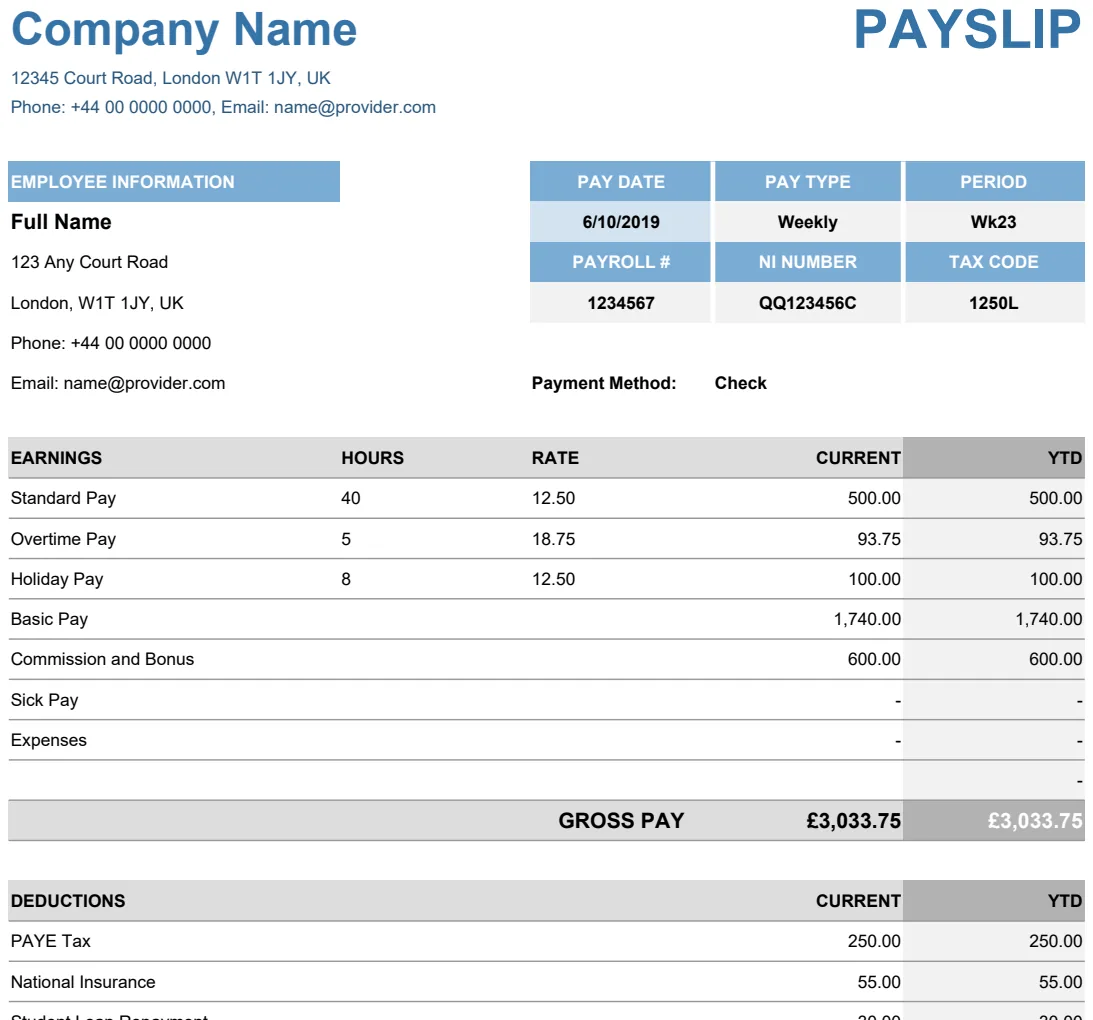 Payslip Template preview