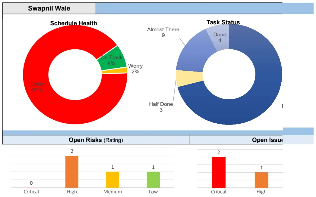 Excel Project Manager preview