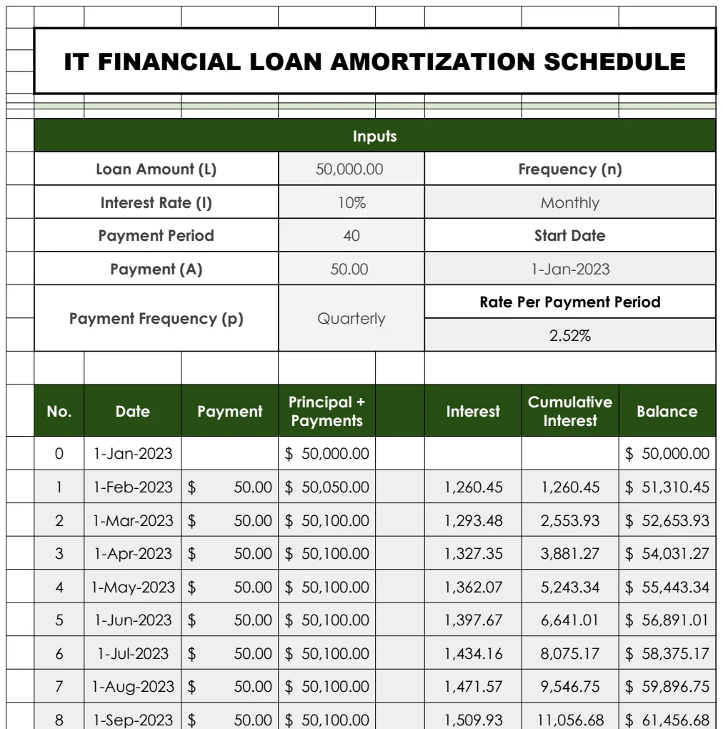 IT Financial Loan Amortization Schedule Template preview