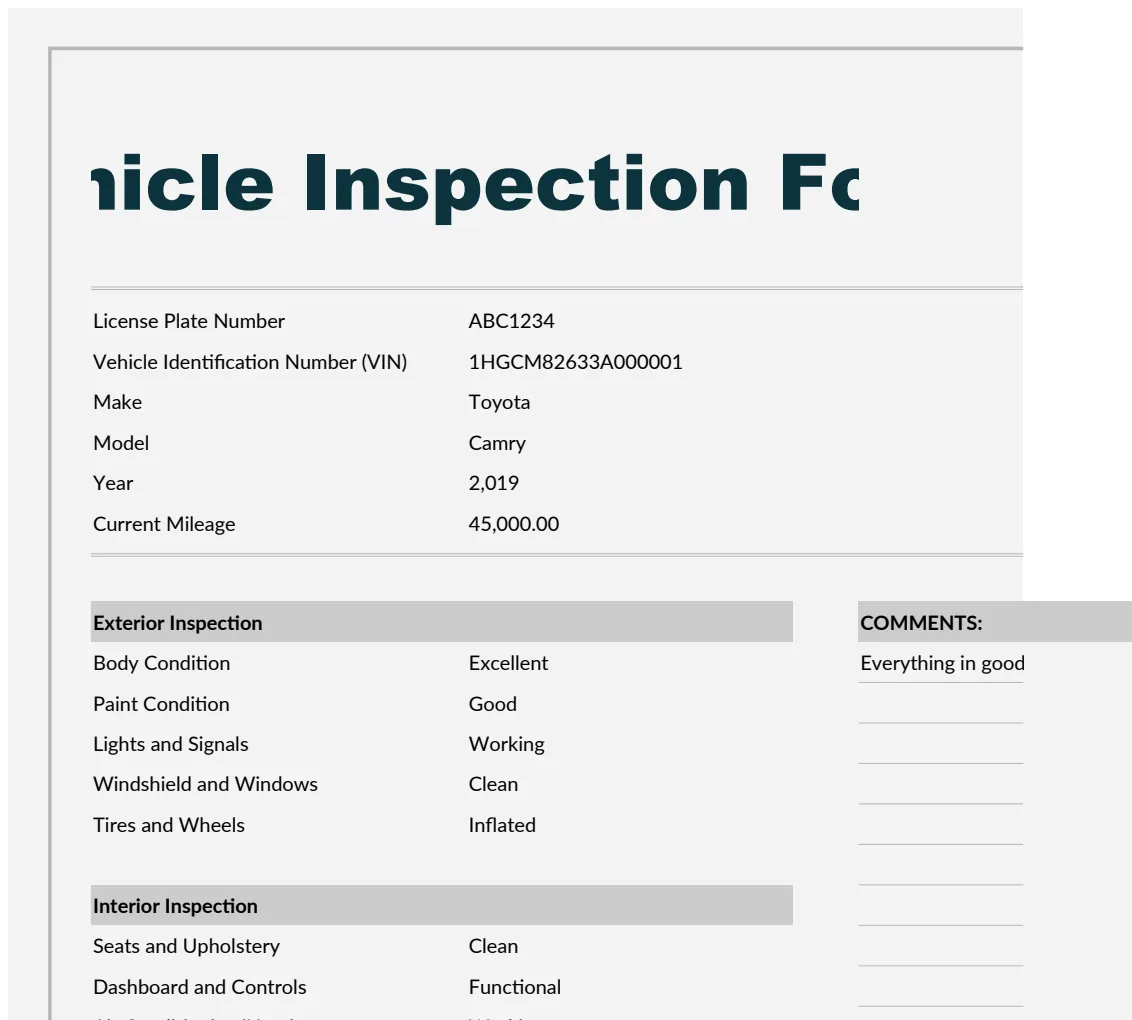 Vehicle Inspection Form Template preview
