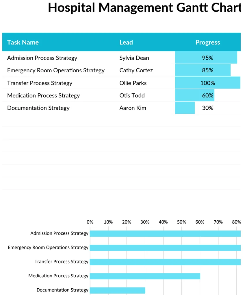 Hospital Management Gantt Chart preview