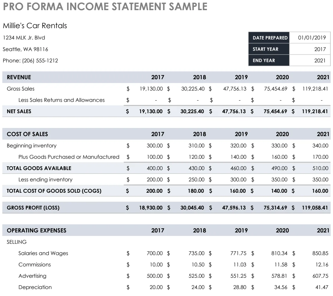 Pro Forma Income Statement Sample preview