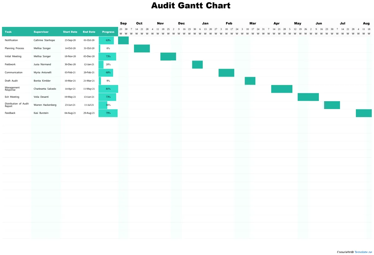 Simple Audit Gantt Chart preview