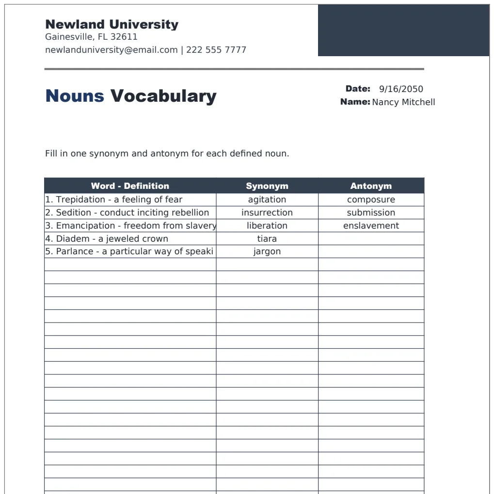Vocabulary Worksheet Template for Nouns preview