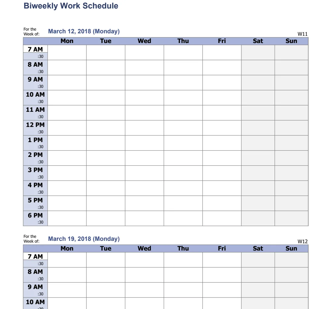 Biweekly Work Schedule preview