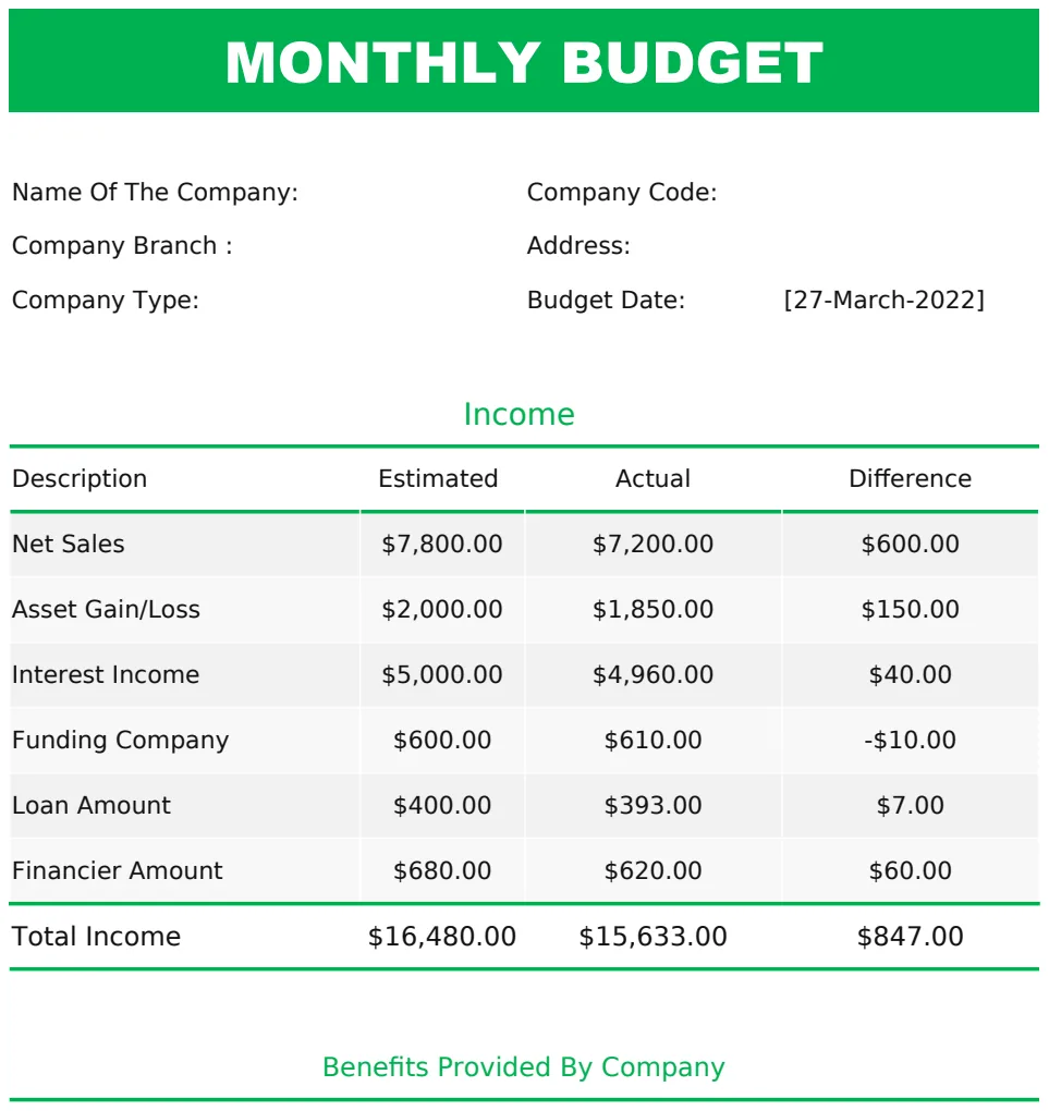 Monthly Budget Template US preview