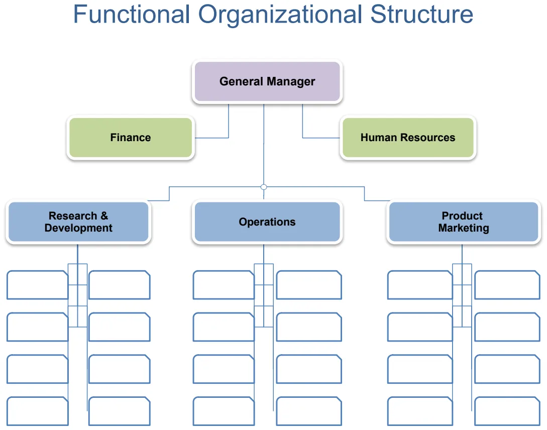Functional Organizational Chart preview