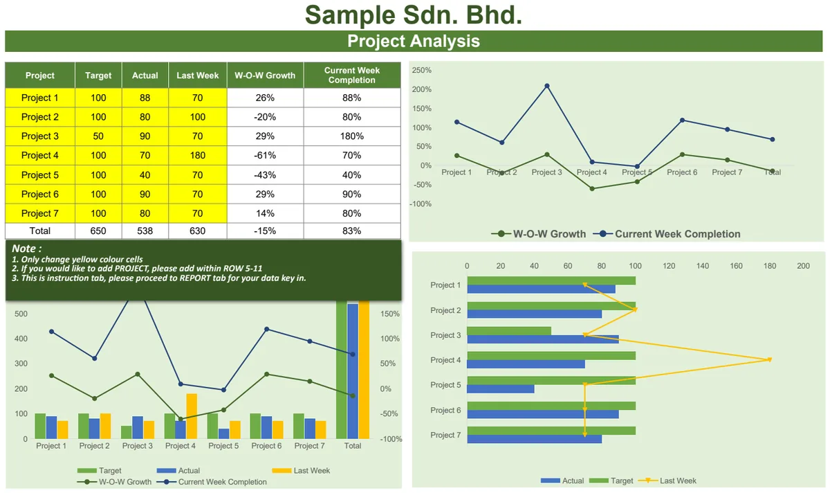 Project Analysis Report preview