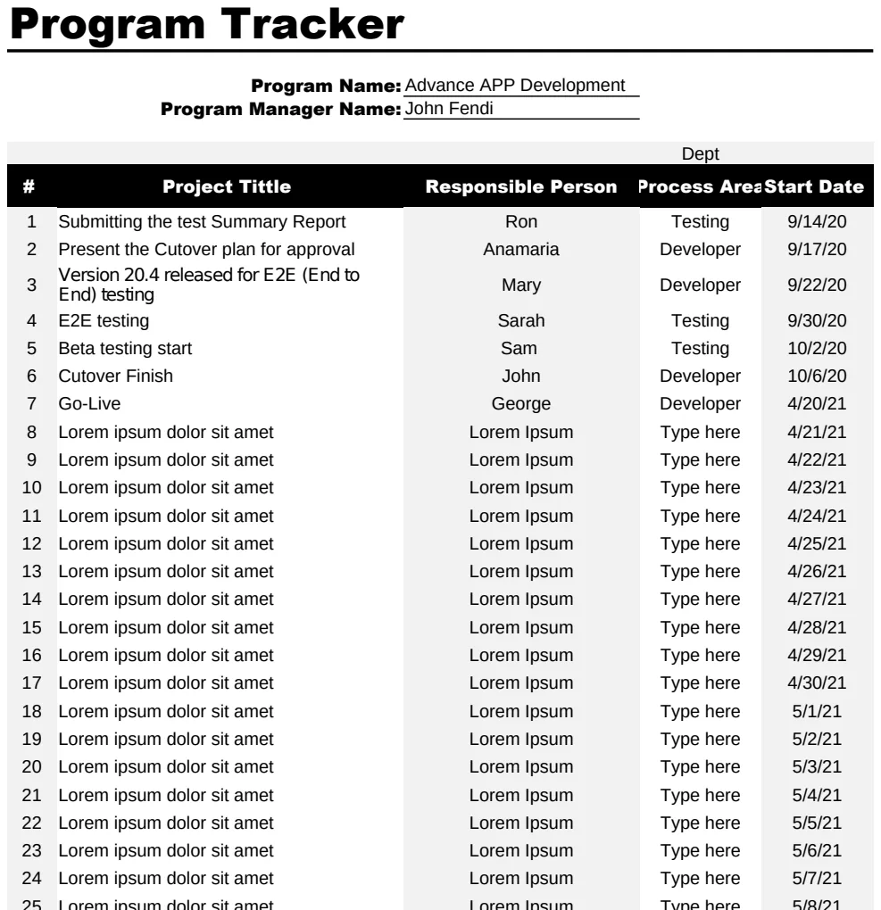 Program Tracker Template preview