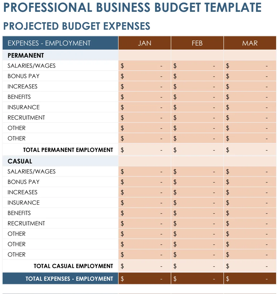 Professional Business Budget preview