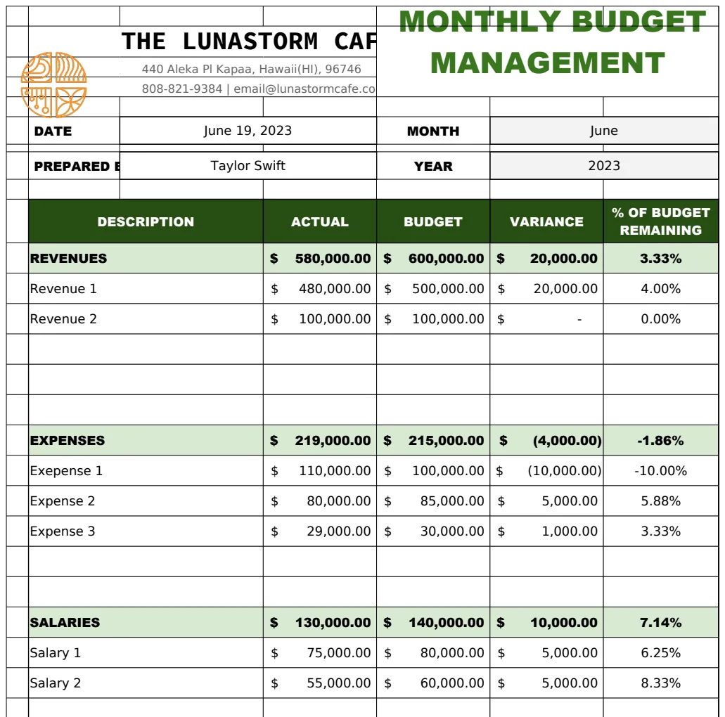 Monthly Budget Management Report Template preview
