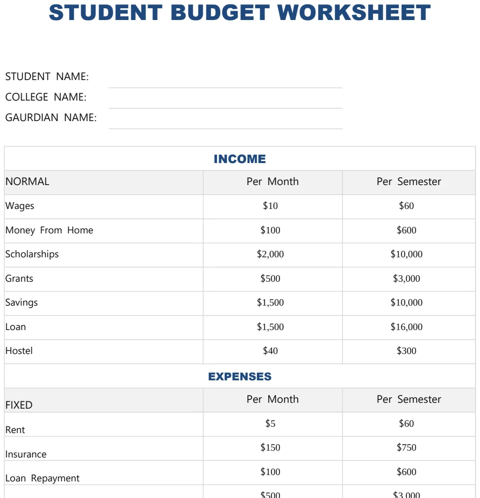 Student Budget Worksheet preview
