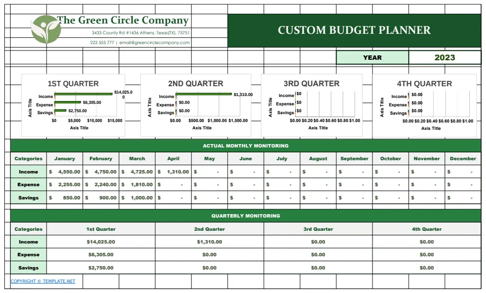 Custom Budget Planner Template template preview