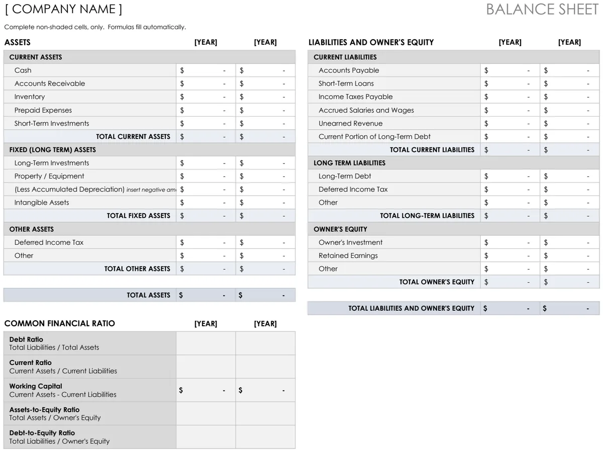 IC Balance Sheet Template preview