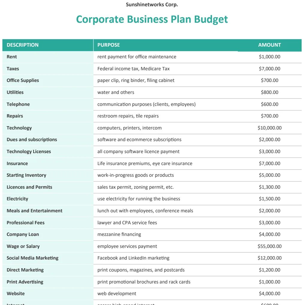 Corporate Business Plan Budget preview