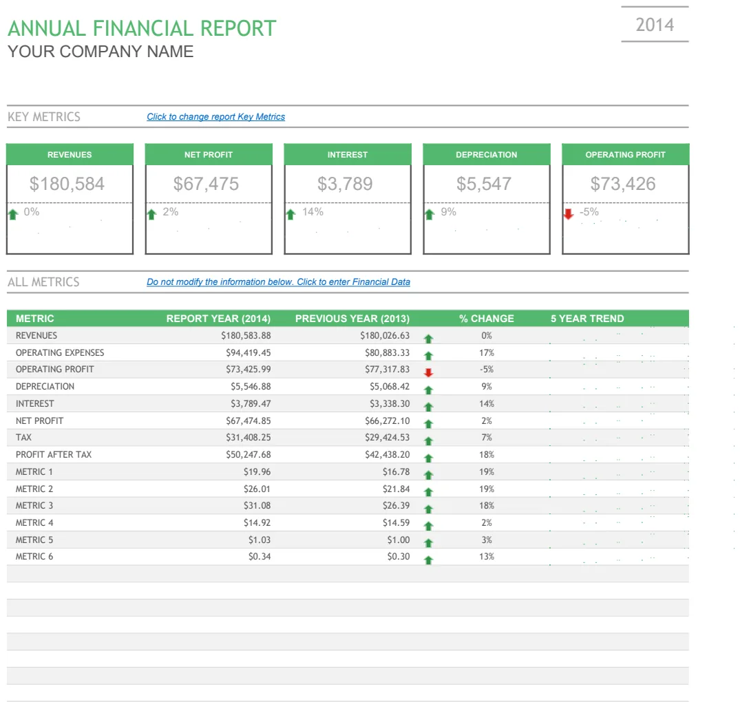 Annual Financial Report preview