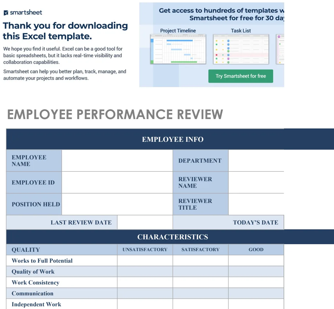 IC Employee Performance Review preview