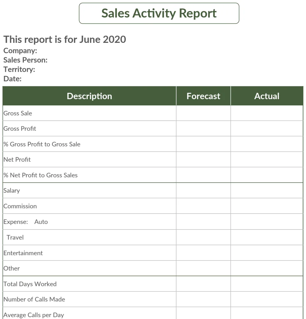 Sales Activity Report Sample Template preview