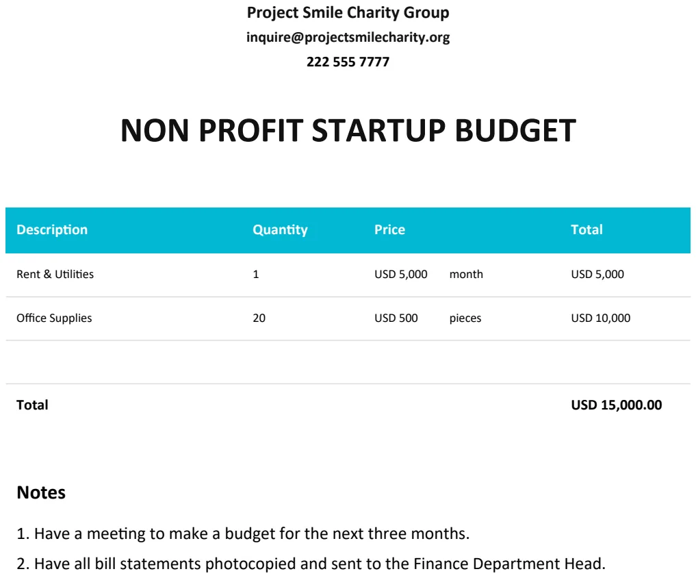 Non Profit Startup Budget Template preview