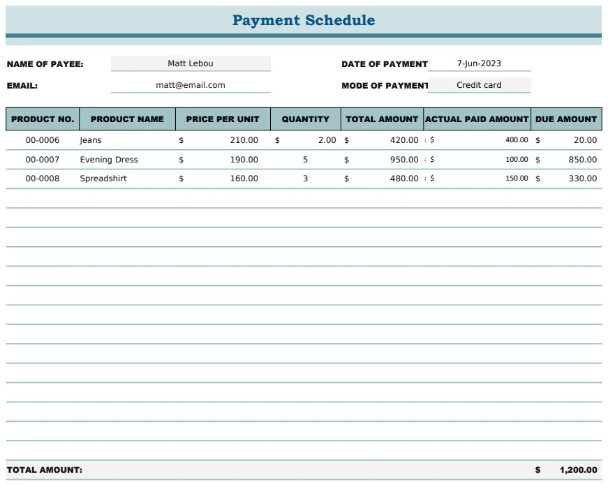Payment Schedule Template preview