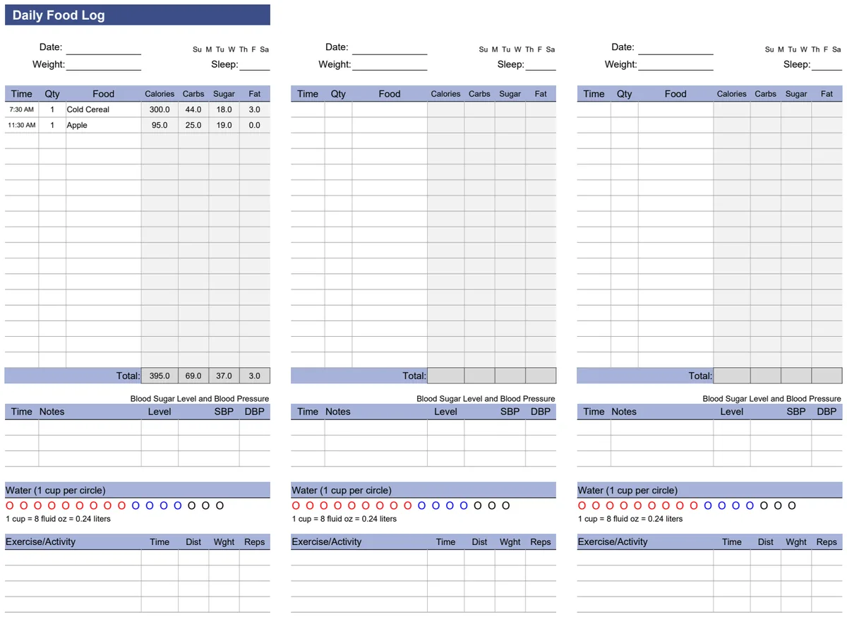 Daily Food Log preview