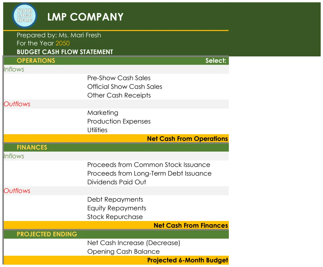 Budget Cash Flow Template preview
