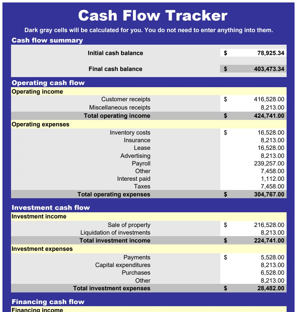 Cash Flow Tracker preview