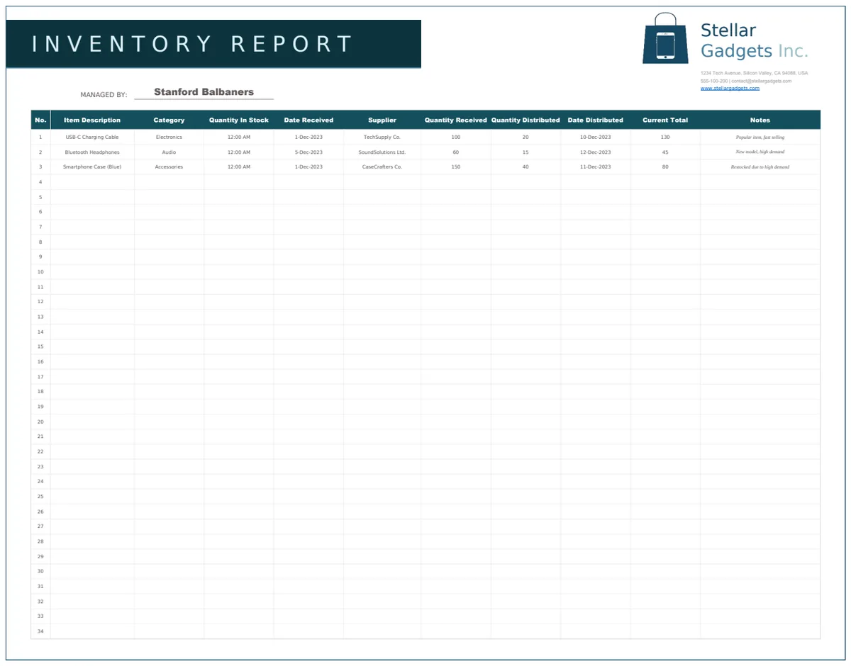 Daily Inventory Report Template preview