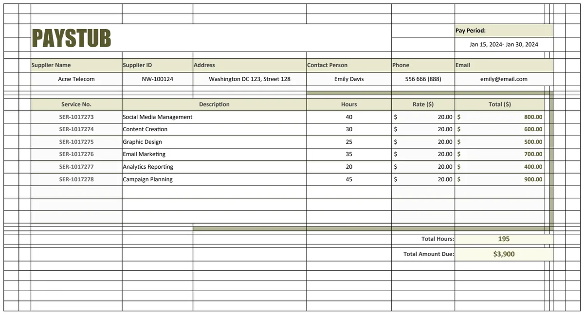 Small Business Paystub Template preview