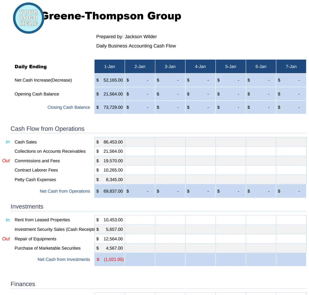 Daily Business Accounting Cash Flow Template preview