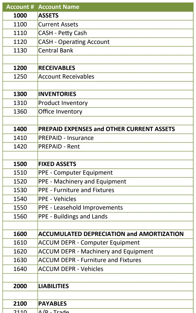 Cash Flow Report Template Direct Method V13 preview