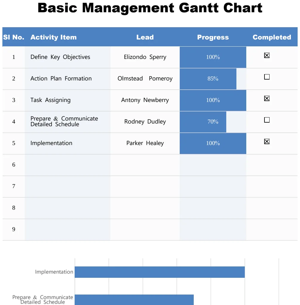 Basic Management Gantt Chart preview