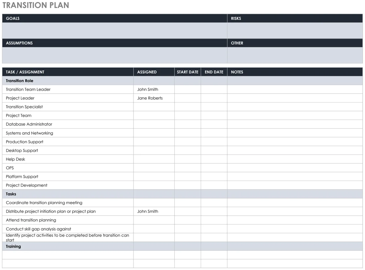 Transition Plan Template preview