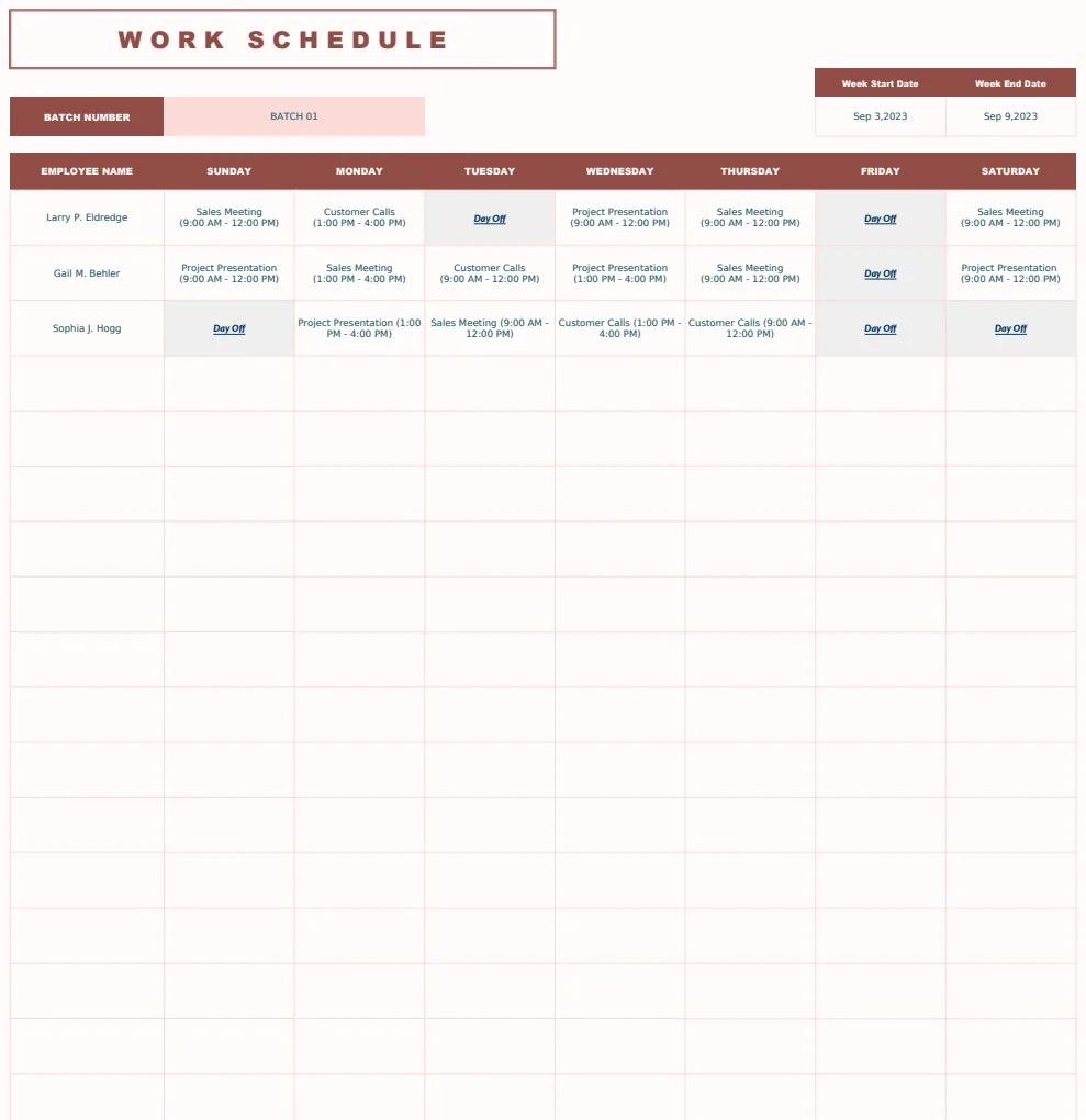Work Schedule Template preview