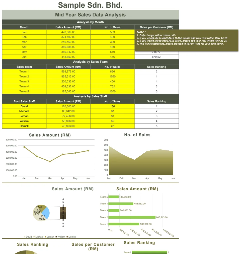 Mid Year Sales Data Analysis preview